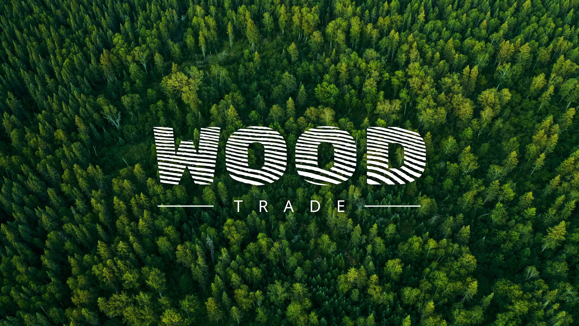 Разработка интернет-магазина компании «Wood Trade» в Плёсе